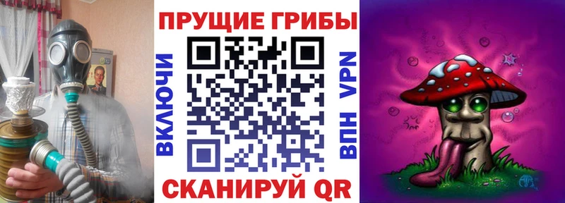 Галлюциногенные грибы Cubensis  купить наркотик  omg ONION  Александровское 
